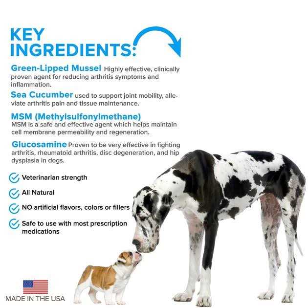 Advanced Hip + Joint Complex with MSM and Green-Lipped Mussel for Dogs M653