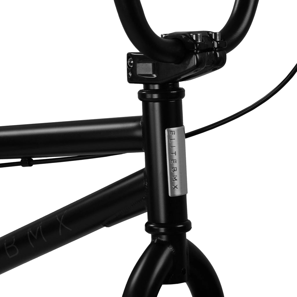 Matte Black 20 In. BMX Bike H561906