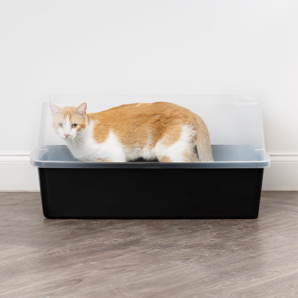 Black Open Top High Sided Cat Litter Box B71151