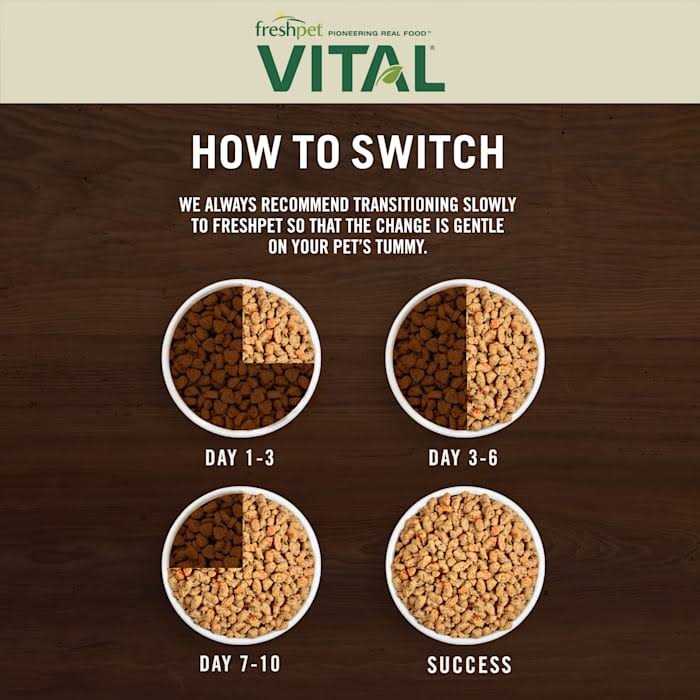 Grain-Free Chicken Recipe Cat Food L286381