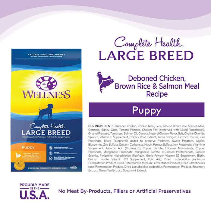 Large Breed Puppy Dry Dog Food F193653