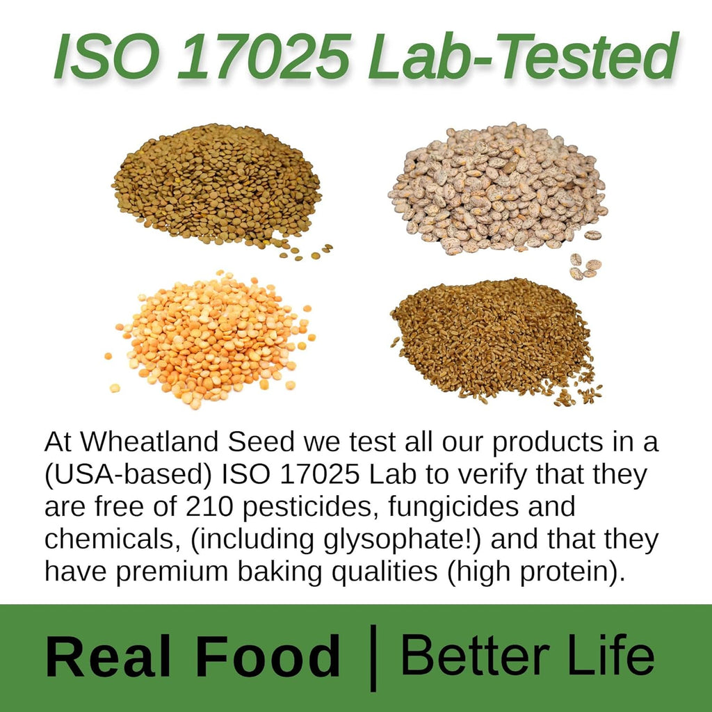 Hard White Wheat Berries 100 lbs E139044