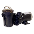 1.5 HP Pool Pump T966