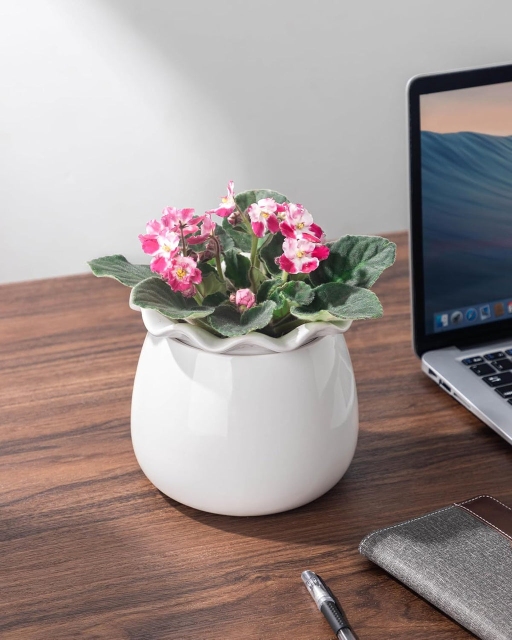 6 Inch Ceramic Self-Watering Plant Pot D29827