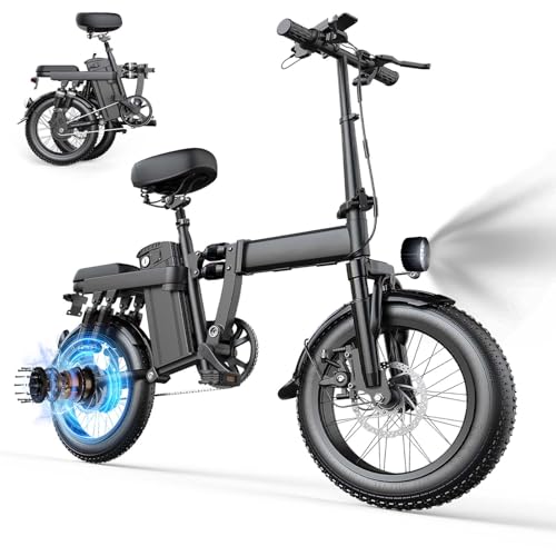 750W Electric Bike with 48V20AH Battery and 16"×3" Fat Tire K5631