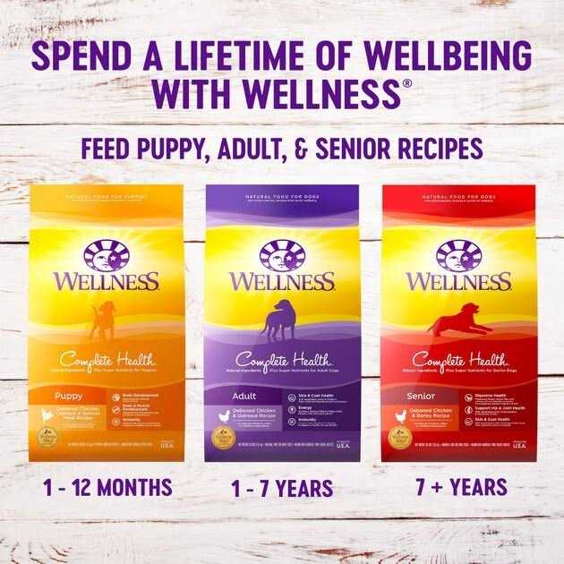 Large Breed Puppy Dry Dog Food F193653