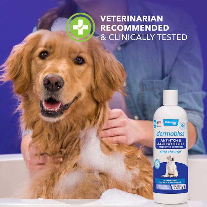 Anti-Itch & Allergy Relief Medicated Shampoo 16oz L921646