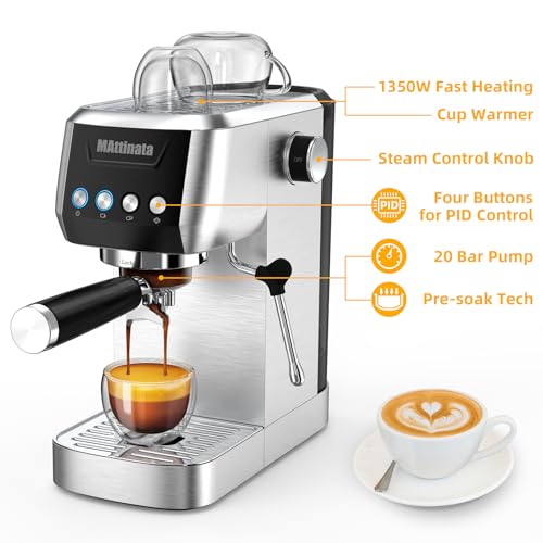 20 Bar Espresso Machine with Automatic Milk Frother E242