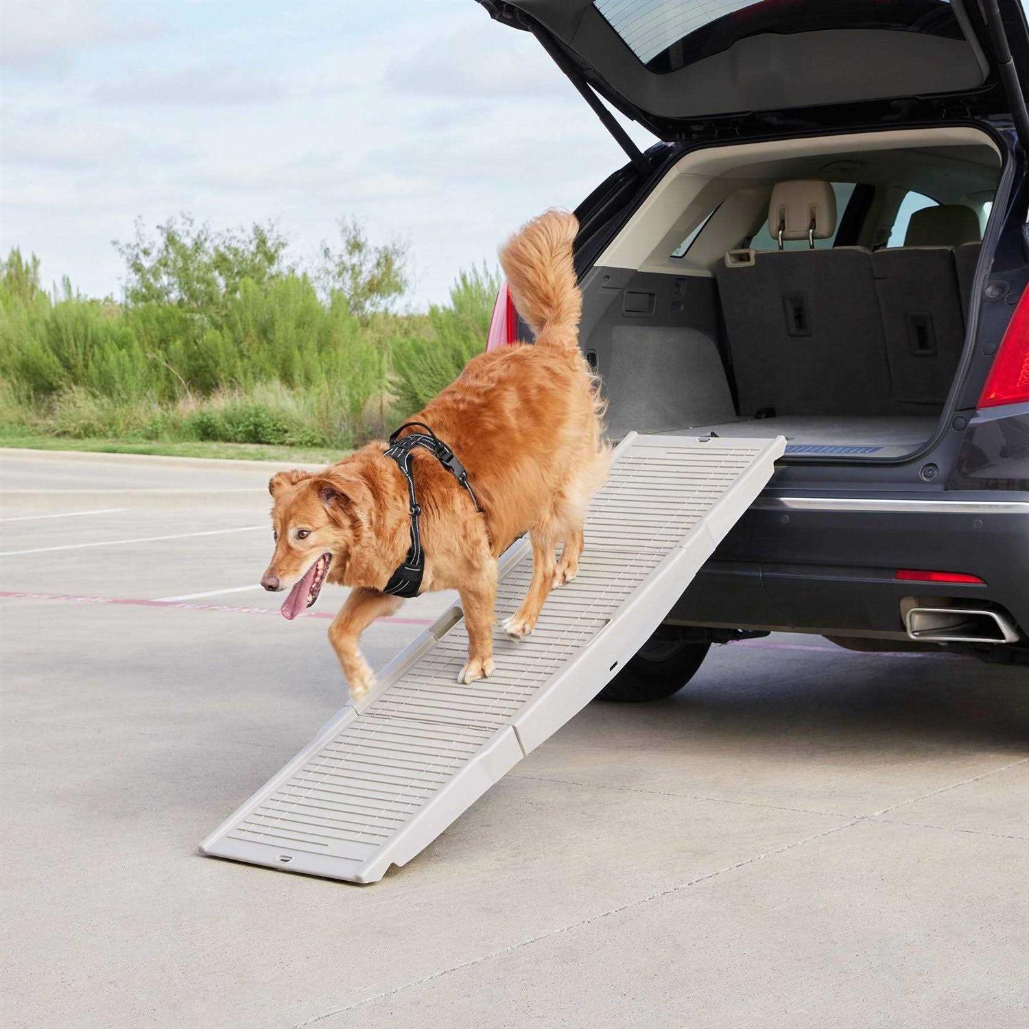 Tri-Fold Travel Dog Car Ramp N13873