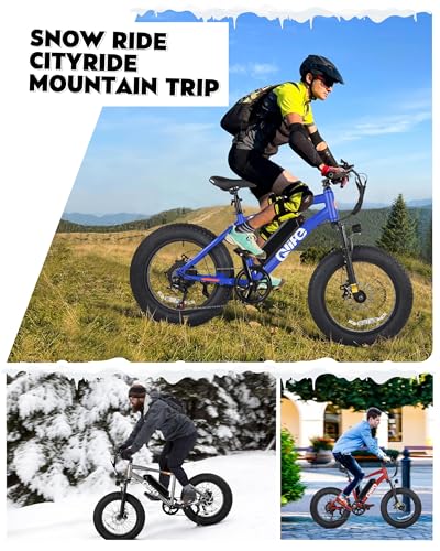 Fat Tire Electric Bike with 20X4.0 Tire, 7-Speed G922