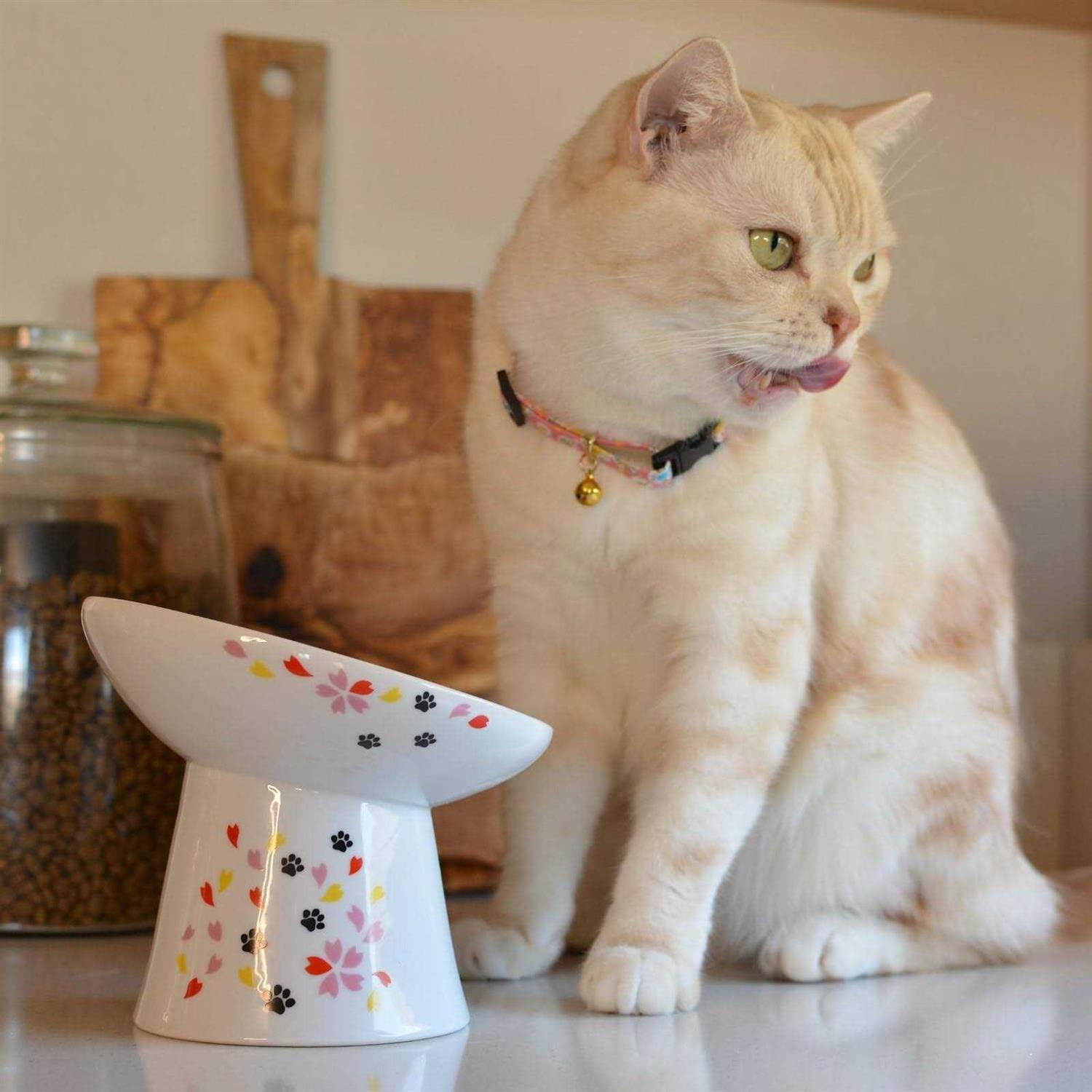 Extra Wide Raised Cat Food Bowl U331