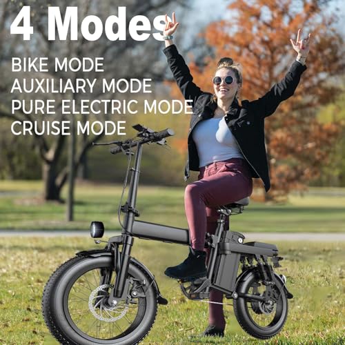 750W Electric Bike with 48V20AH Battery and 16"×3" Fat Tire K5631