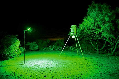 Motion Activated Feeder Light with Remote Control B538688