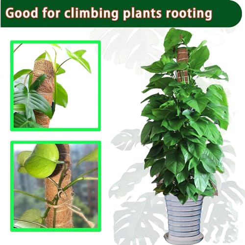 Moss Pole -2 Pack 17 Inch Plant Support Stakes G89557