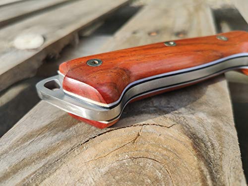 Fixed Blade Full Tang 11" MOVA Stainless Steel Knife with Sheath E512