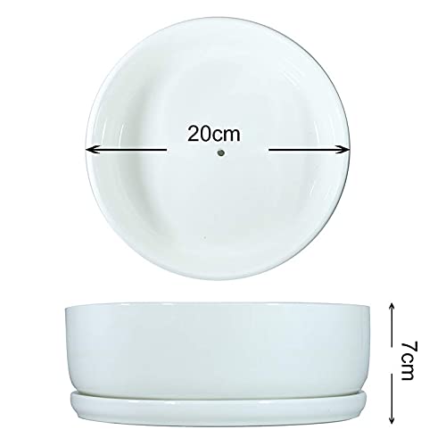 8 inch White Round Ceramic Planter with Removable Saucer Y3815