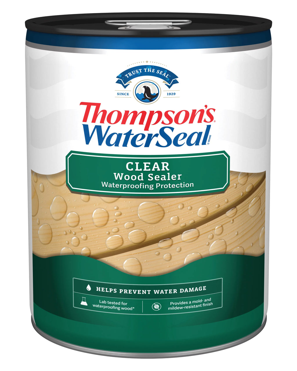 Clear Wood Sealer, 5 Gallon G258