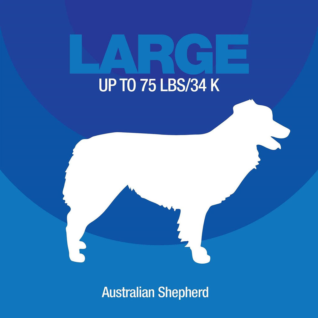 Chaise Dog Bed Z2235