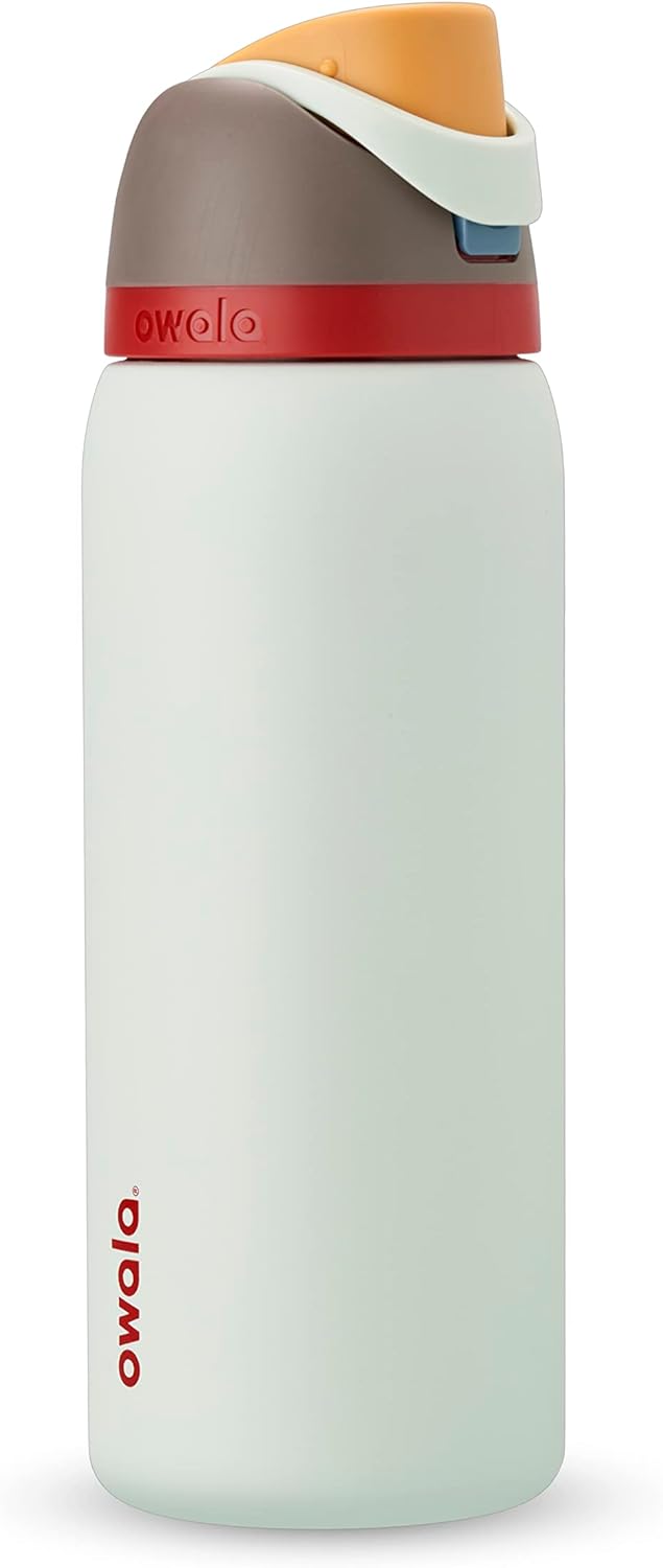 32 Oz Insulated Stainless Steel Water Bottles with Straw, Set of 2 Q331