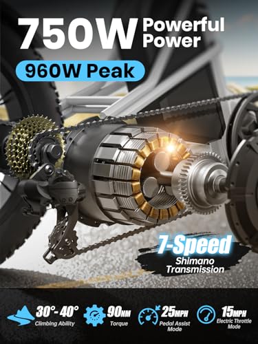 Electric Trike with 750W Motor, 48V 18AH Battery, 20" Fat Tire, Large Basket N68198