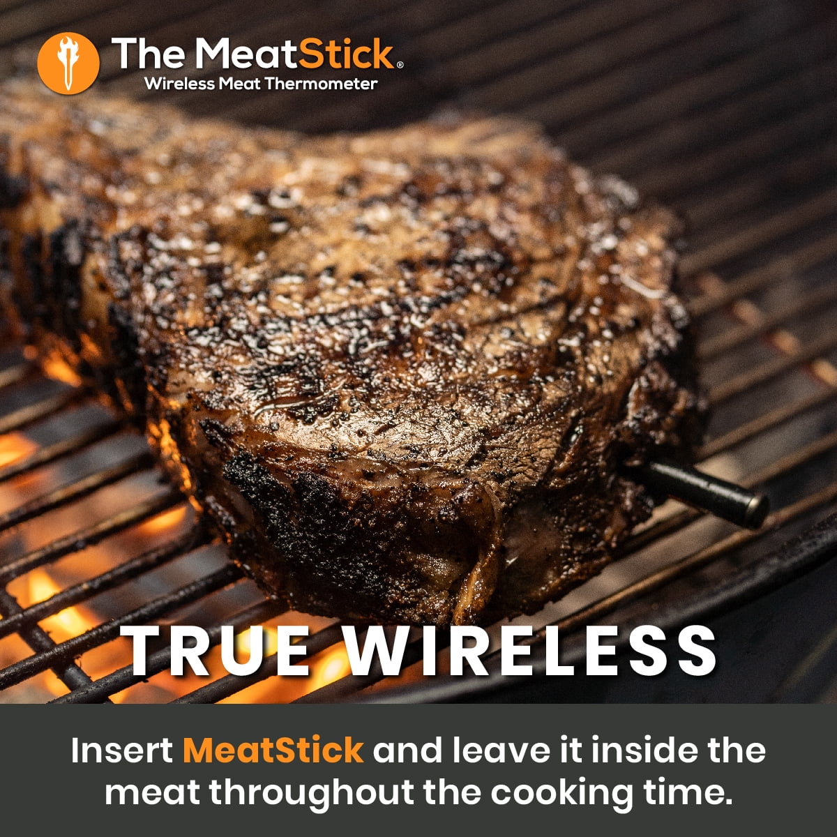 Wireless Meat Thermometer with Bluetooth D8664