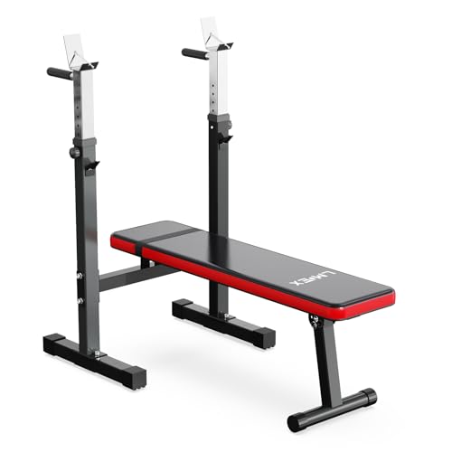 Adjustable Weight Bench Press with Squat Rack Folding Dip Station V135