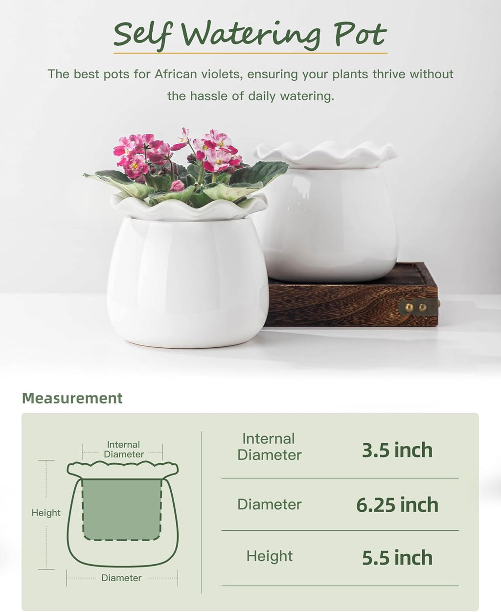 6 Inch Ceramic Self-Watering Plant Pot D29827