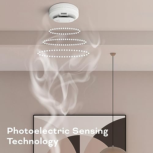 AA Battery Powered Smoke & Carbon Monoxide Detector, 2 Pack F792791