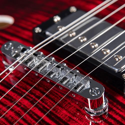 Black Semi-Hollow Body Electric Guitar L35388
