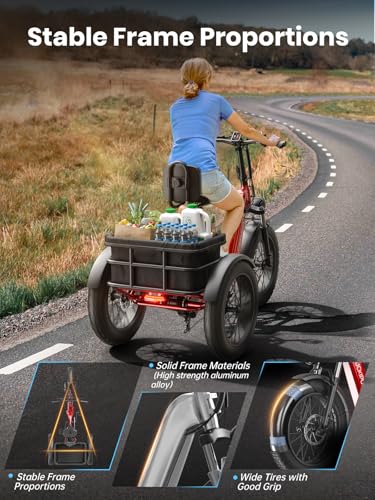 Electric Trike with 750W Motor, 48V 18AH Battery, 20" Fat Tire, Large Basket N68198