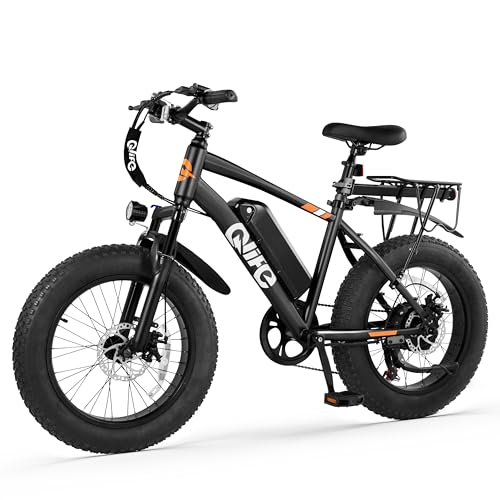 Fat Tire Electric Bike with 20X4.0 Tire, 7-Speed G922