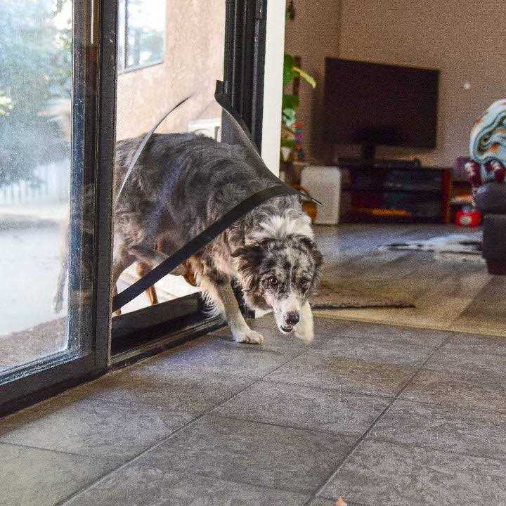 Screen Pet Door Conversion Kit for Screen Door Z77988