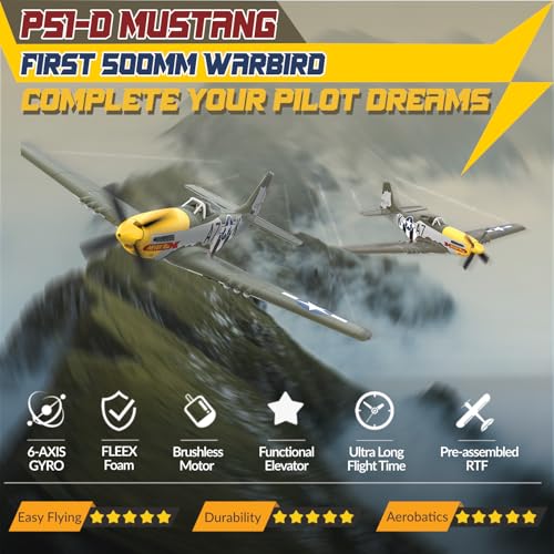 Remote Control Aircraft Plane P485