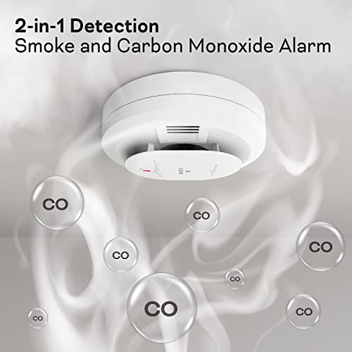 AA Battery Powered Smoke & Carbon Monoxide Detector, 2 Pack F792791
