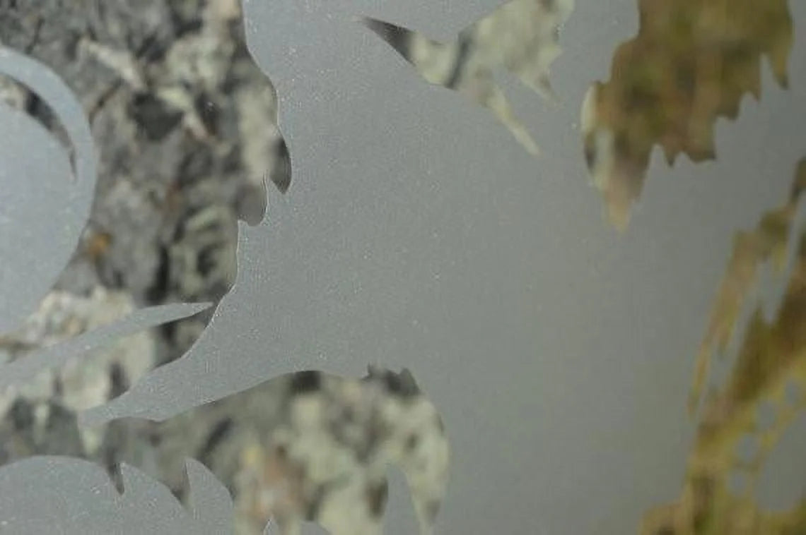 DIY Etched Glass Vinyl Privacy Film O163510