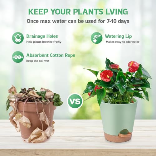 Self Watering Plastic Plant Pots with Drainage Hole and Saucers S777561