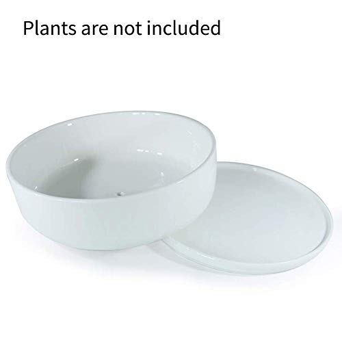8 inch White Round Ceramic Planter with Removable Saucer Y3815