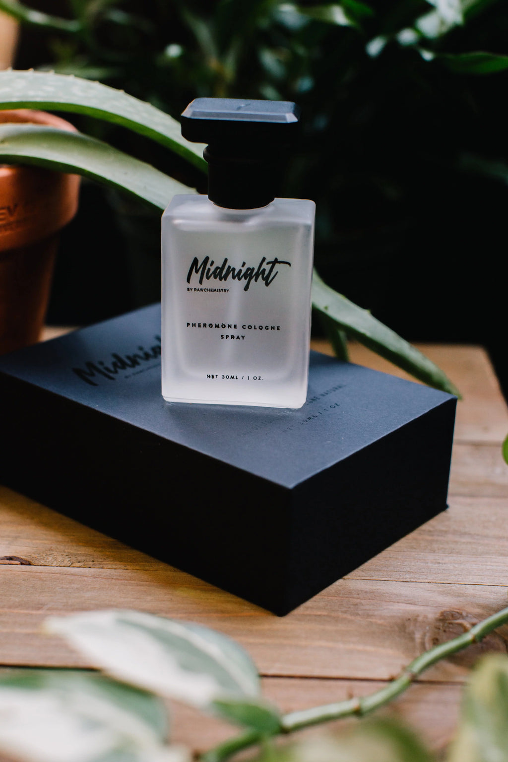 Midnight Cologne T39894