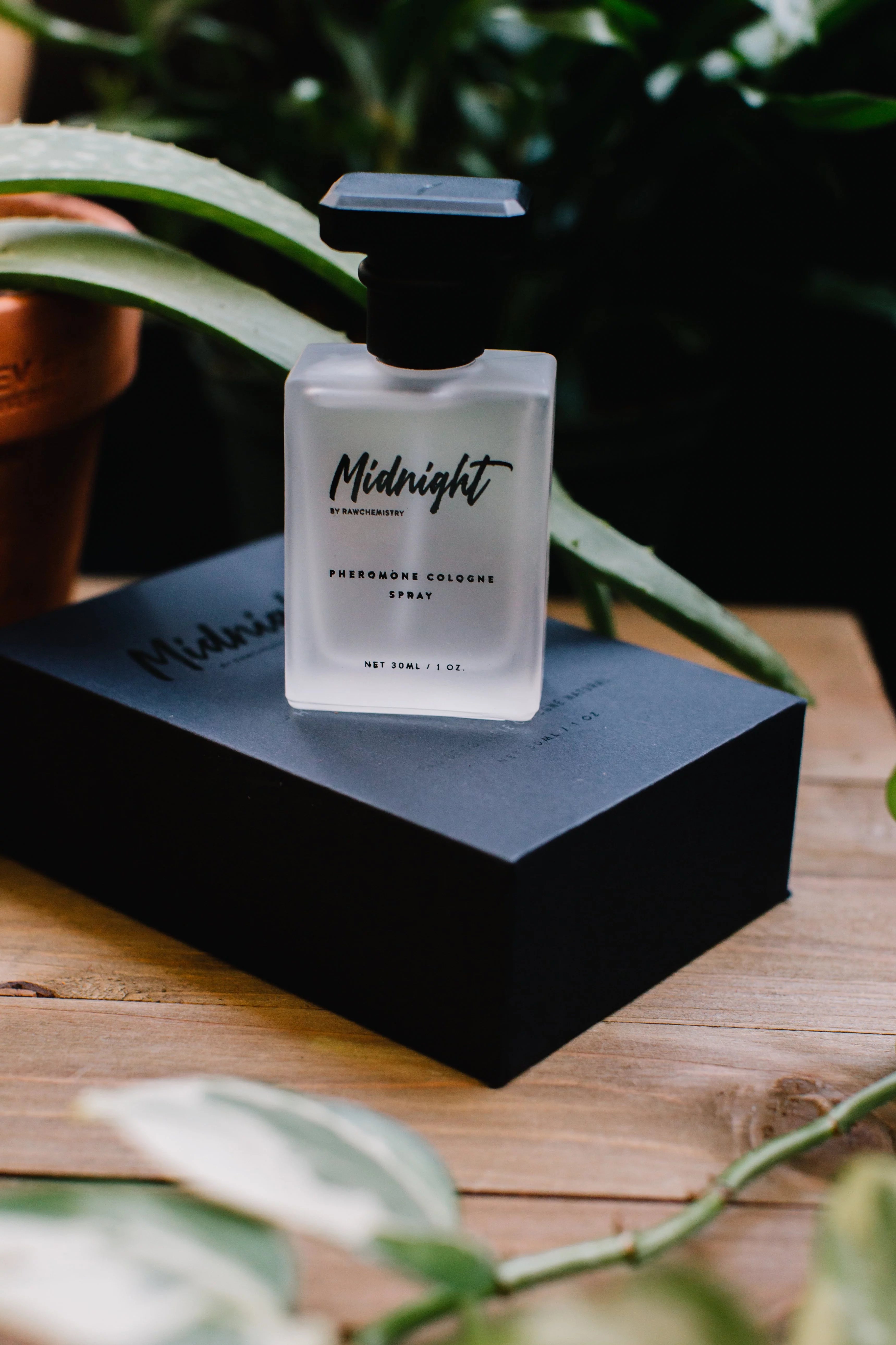 Midnight Cologne T39894