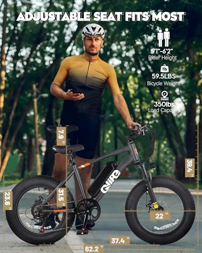 Fat Tire Electric Bike with 20X4.0 Tire, 7-Speed G922