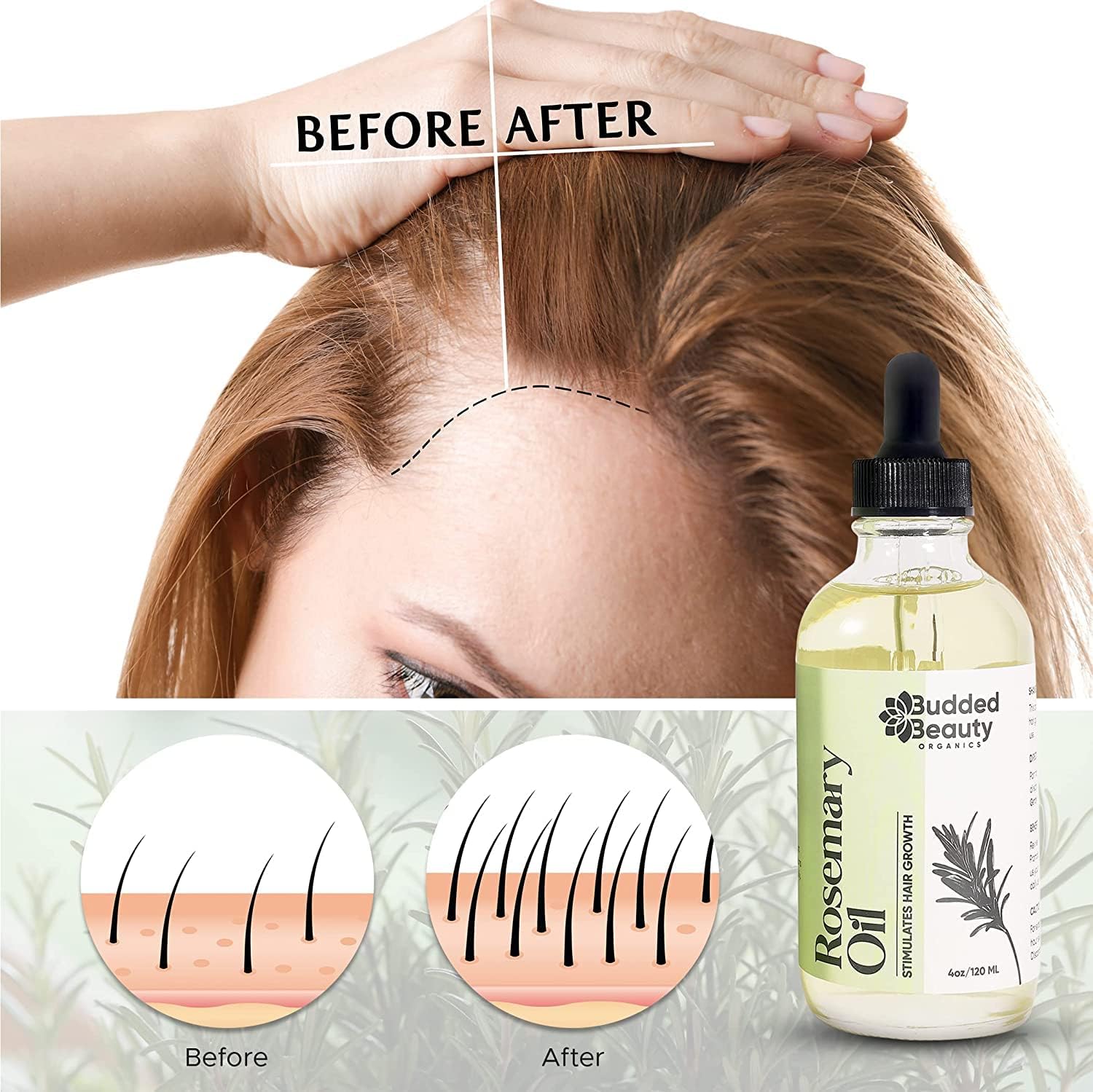 Rosemary Oil with Dropper P1331