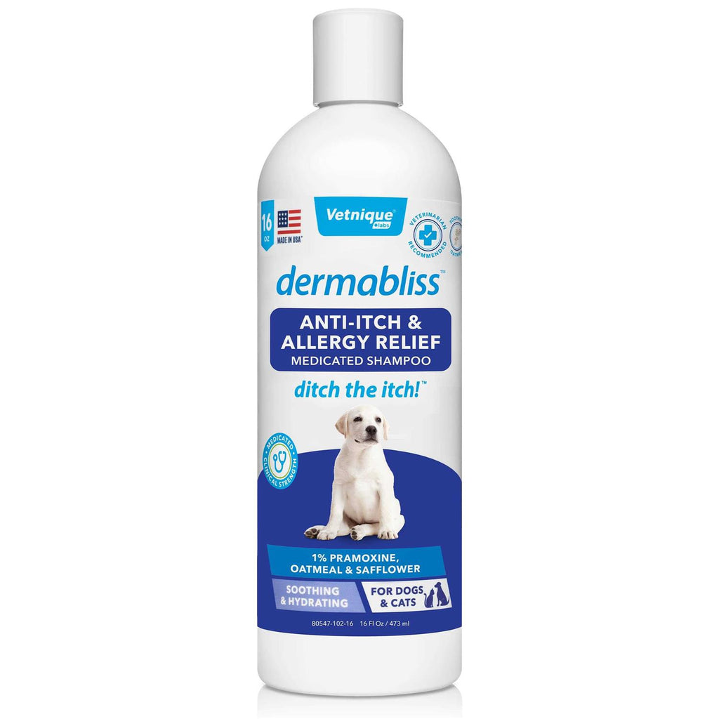 Anti-Itch & Allergy Relief Medicated Shampoo 16oz L921646
